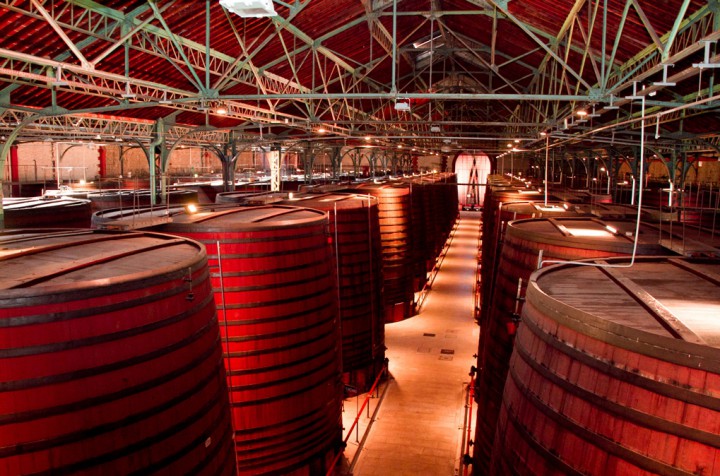 Crédit photographique : © Sylvie LEMORT - Caves de Byrrh