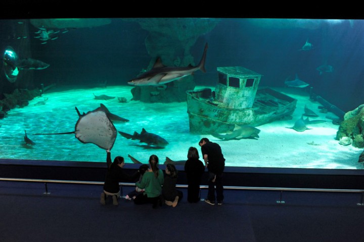 Source photographique : ® Aquapress